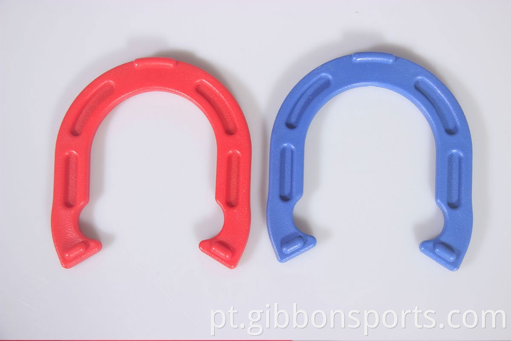 Outdoor Horseshoe Game